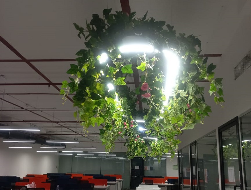 Greenscape Creation